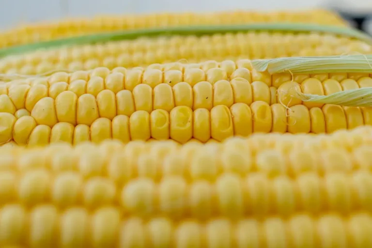 Profound Benefits of Bulk Corn Starch for Food Manufacturers